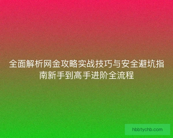 全面解析网金攻略实战技巧与安全避坑指南新手到高手进阶全流程